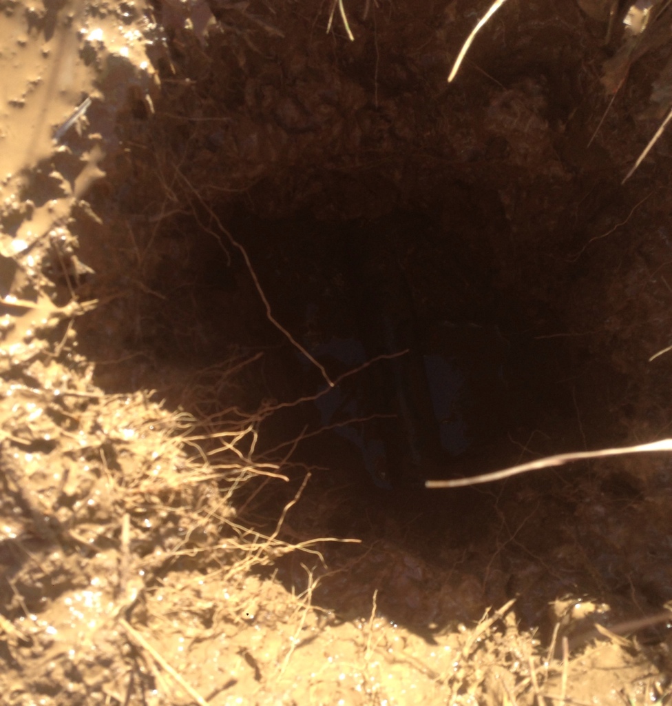 Vacuum excavating ,Joplin Mo