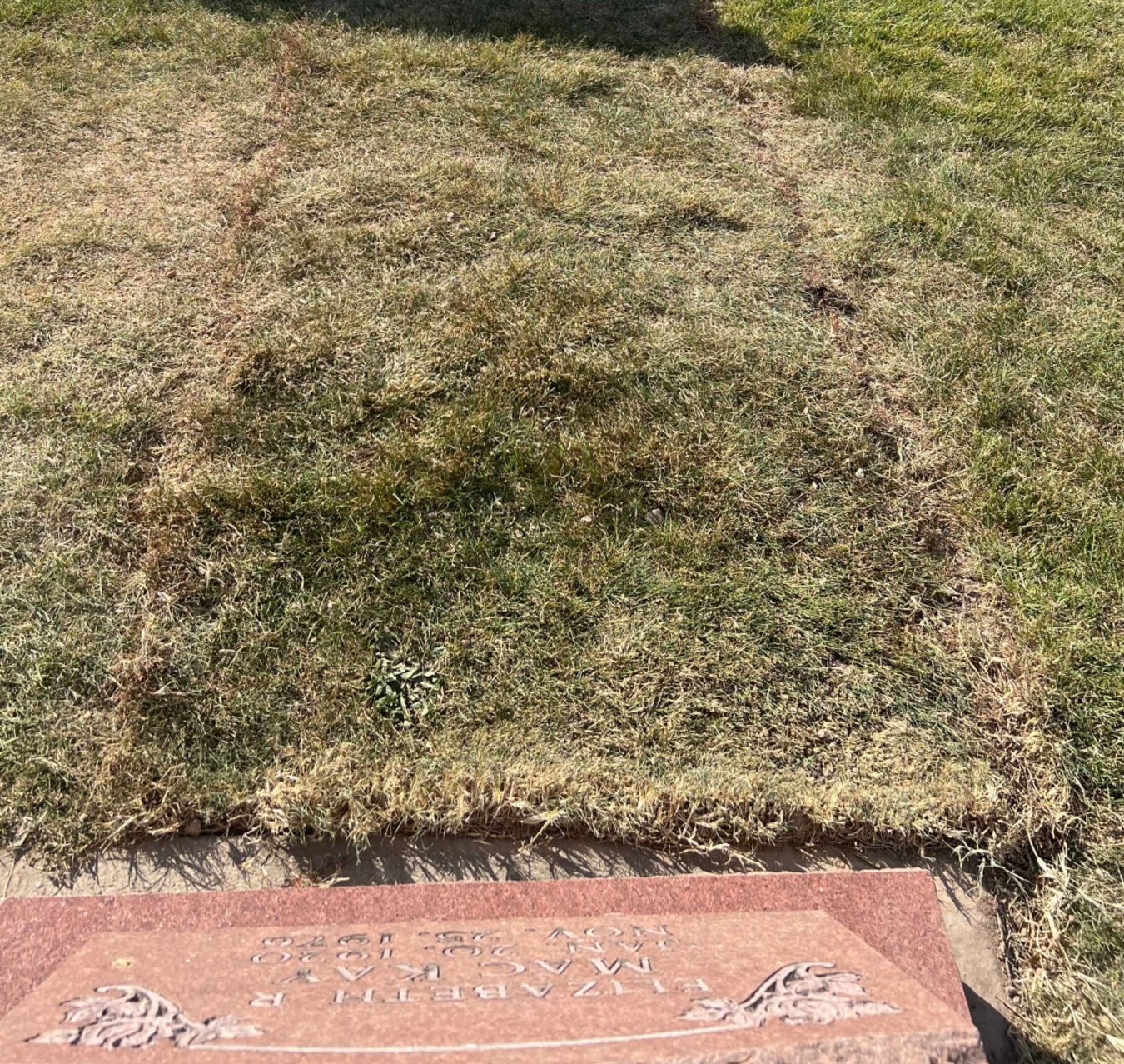 Planning Cemetery Ground Work Around Existing Memorials