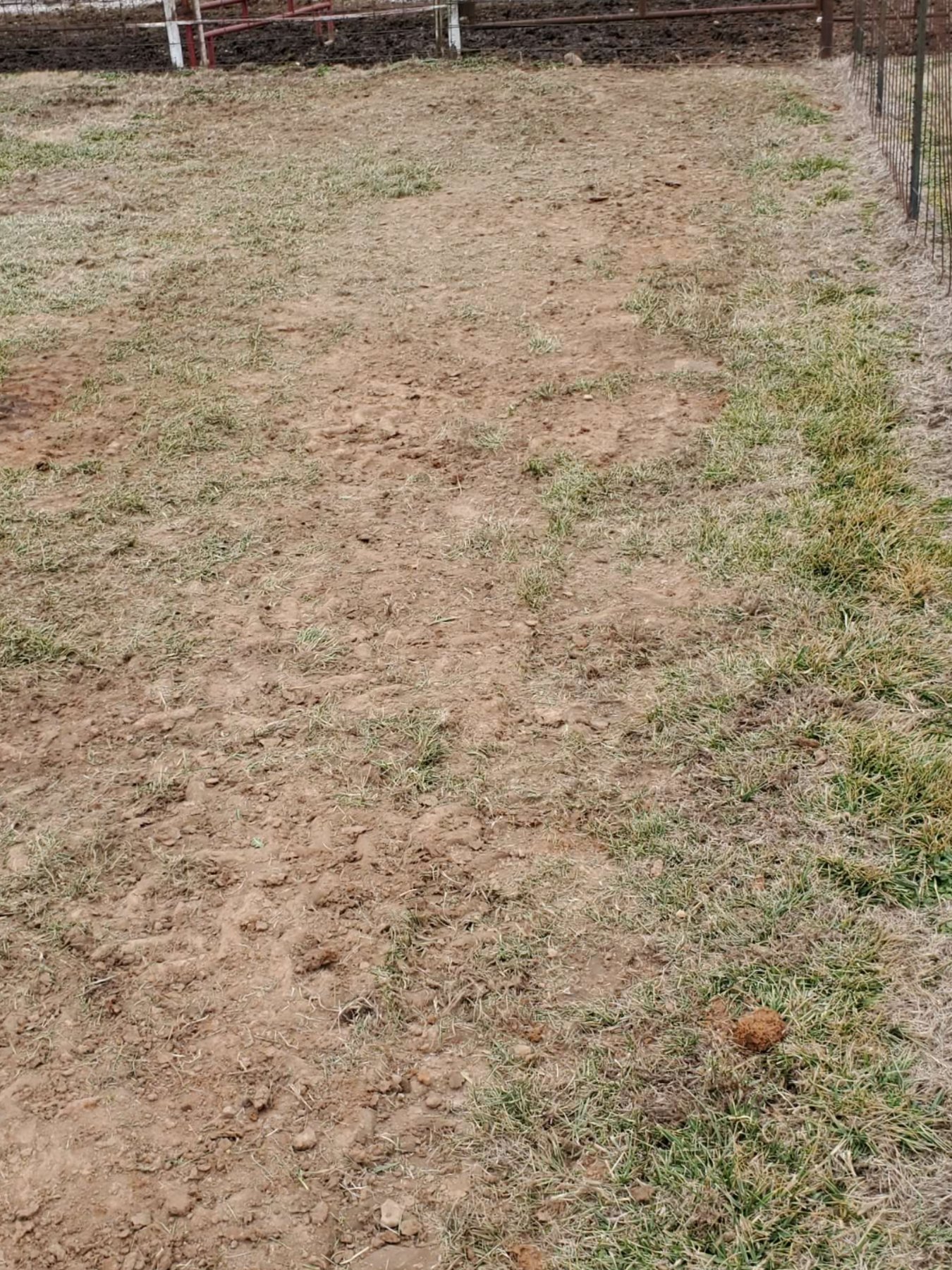 Before Septic Work Begins, Make Room for the Crew