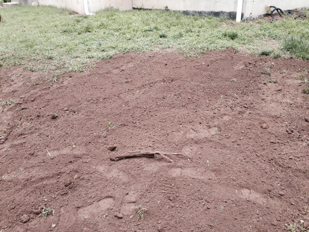 FIBER EXPOSED AT 7 INCHES IN NEOSHO MISSOURI