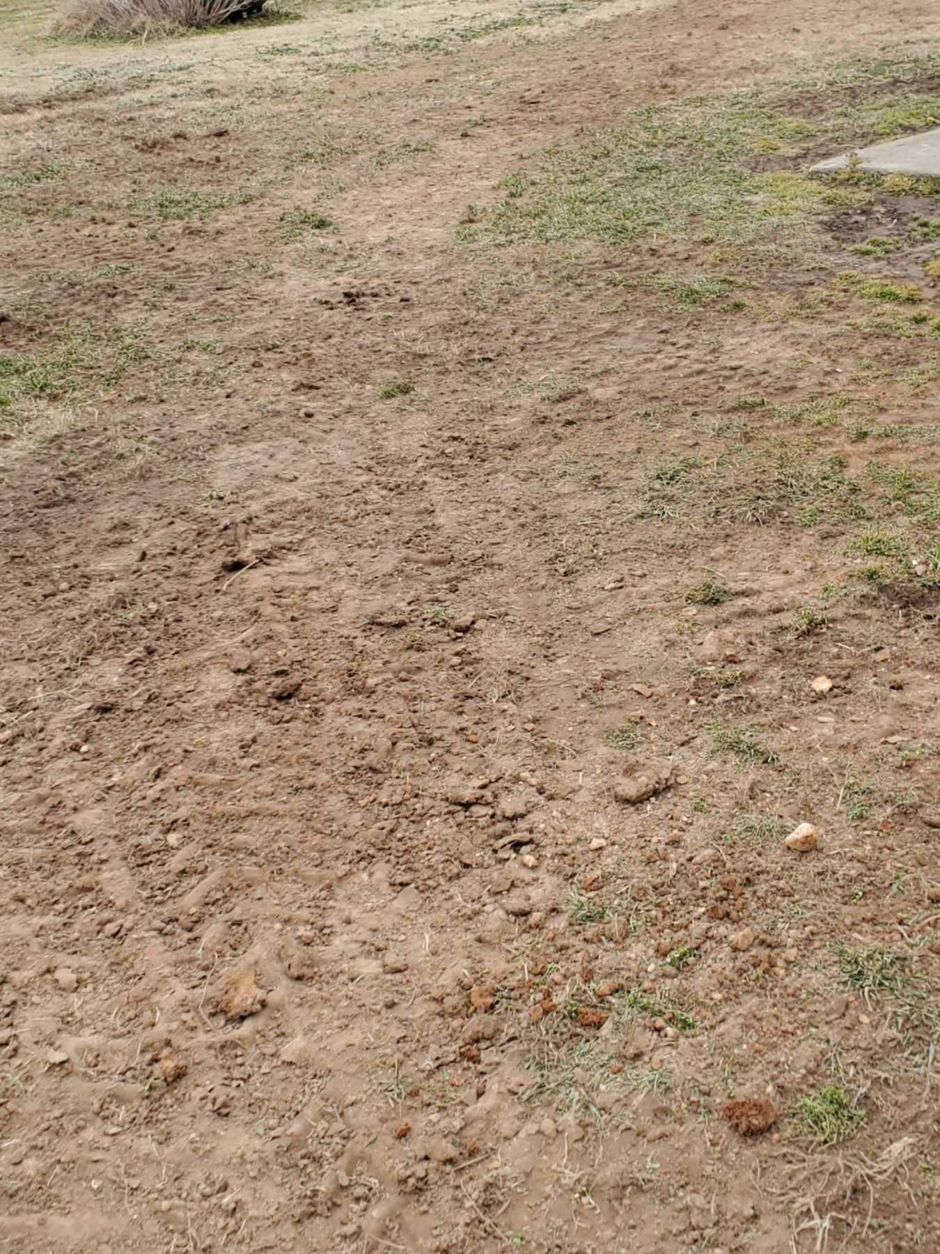 Septic Planning Around Homes, Shops, and Outbuildings