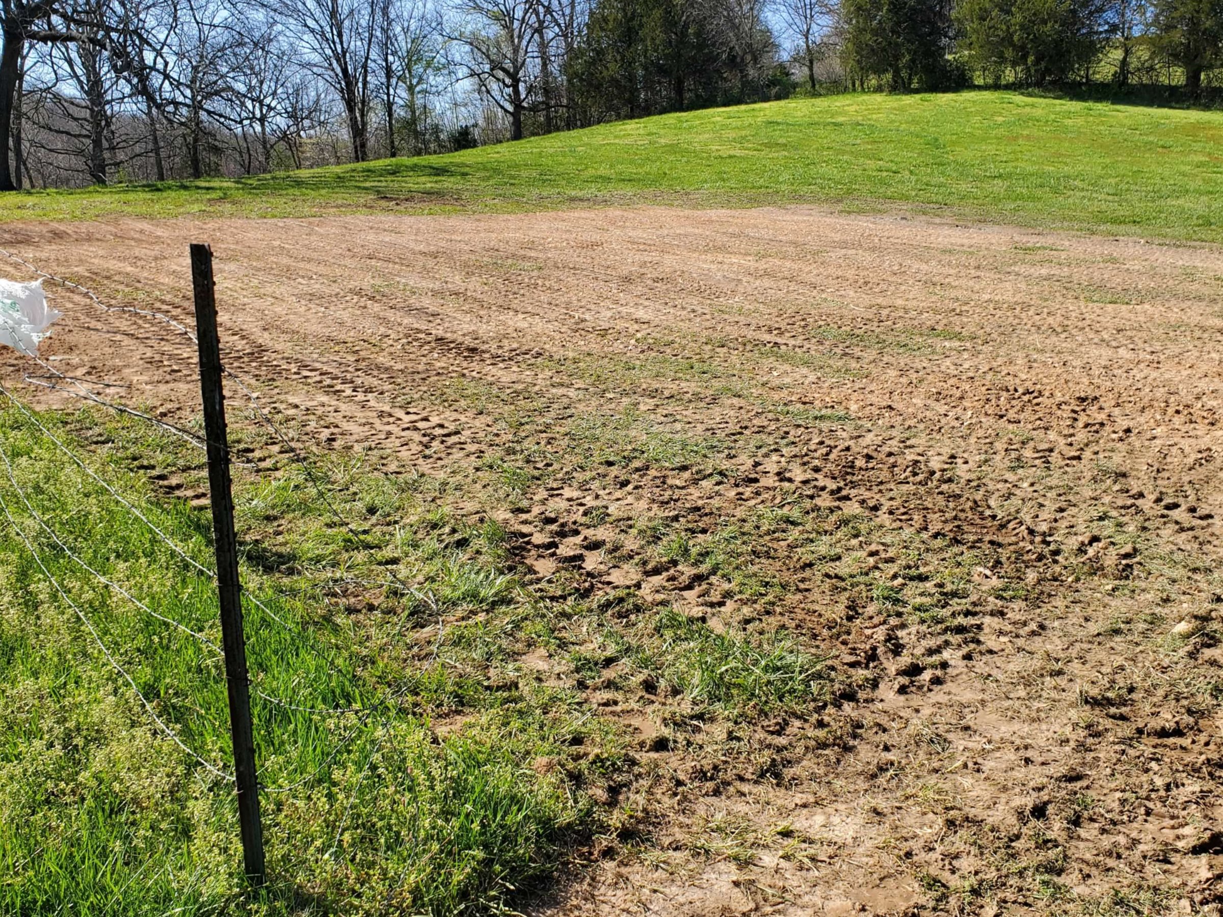 After Septic Installation, What Happens to the Yard?