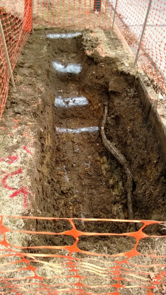 LOWERING FIBER AT NEW LOVES - NEOSHO, MISSOURI