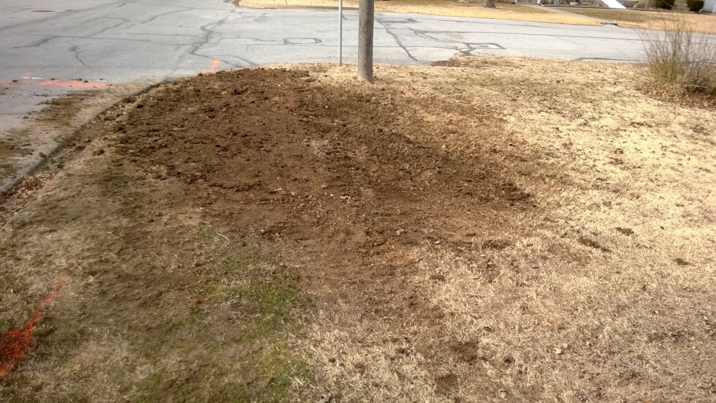 LOWERING FIBER AT NEW LOVES - NEOSHO, MISSOURI