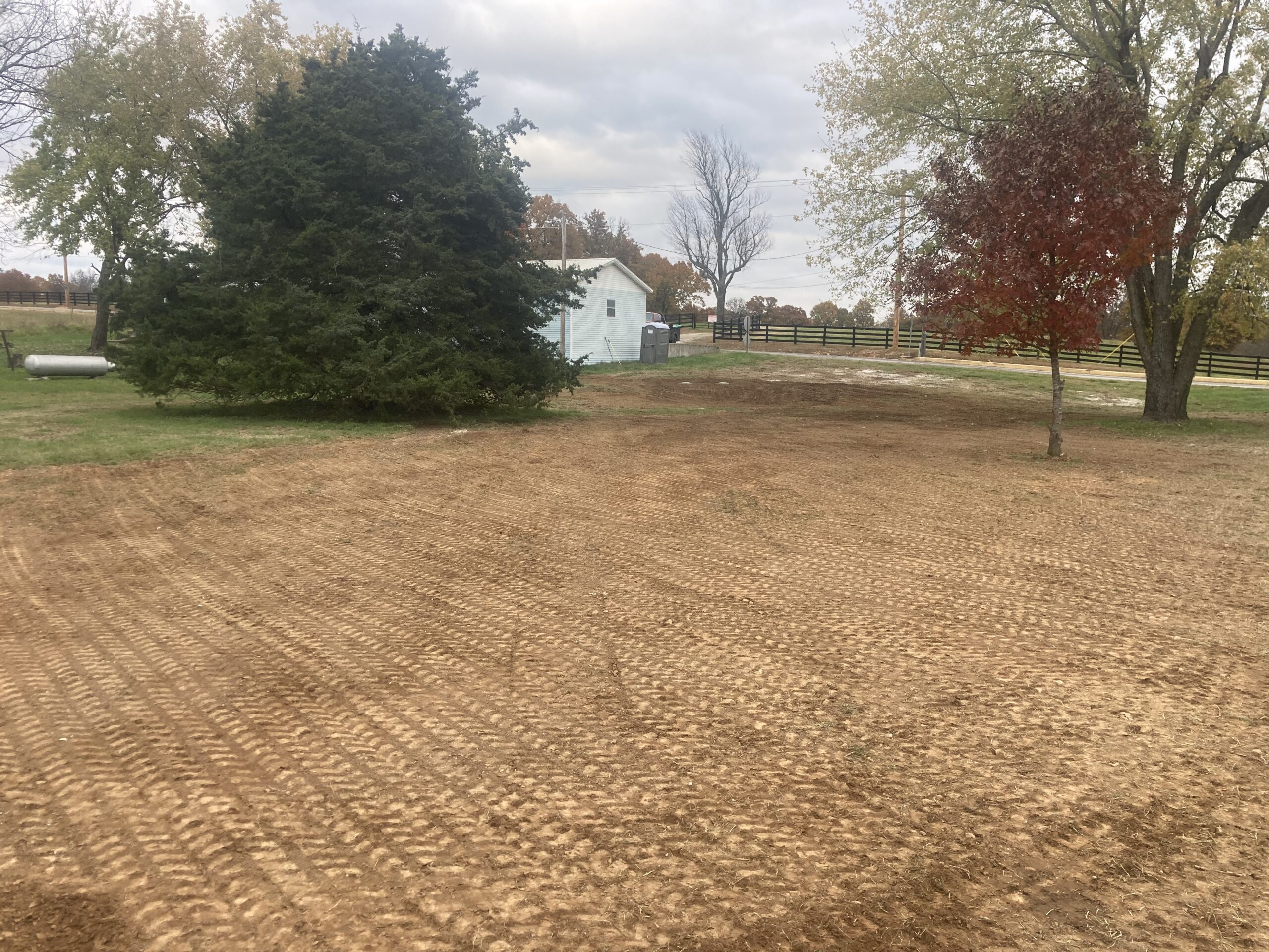 Clean up on the septic field